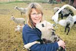 Eva Larsson är van att hantera farliga bakterier i sitt arbete. Här sköter hon om familjens får.<br>Foto: JAN LINDMARK