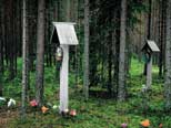 Grav- och avrättningsplatsen vid Sandormoch upptäcktes föst 1997.