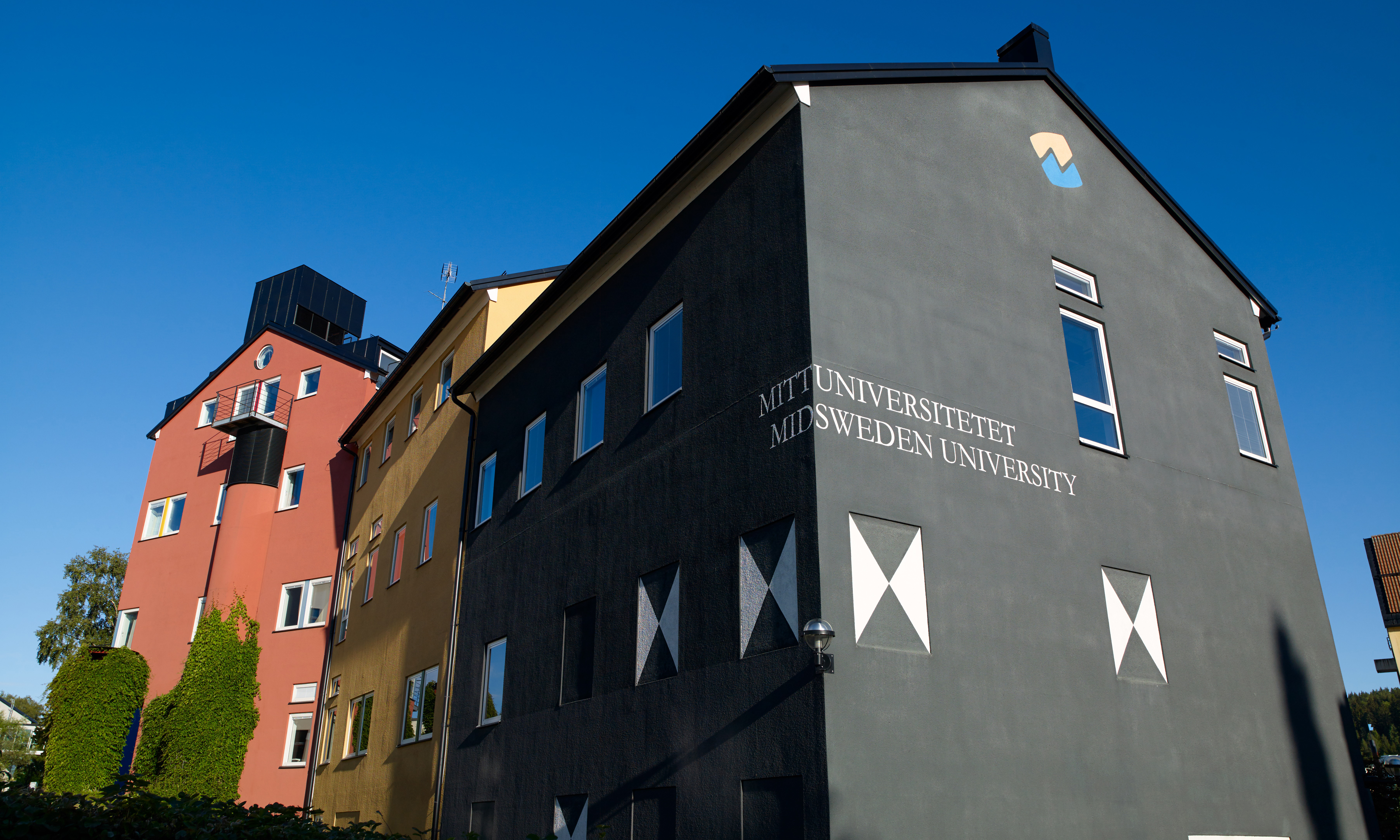 Intagningen till socionomutbildningen vid Mittuniversitetet har återupptagits. Samtidigt har en professor och ämnesansvarige Masoud Kamali, anmält ledningen för kränkande särbehandling.