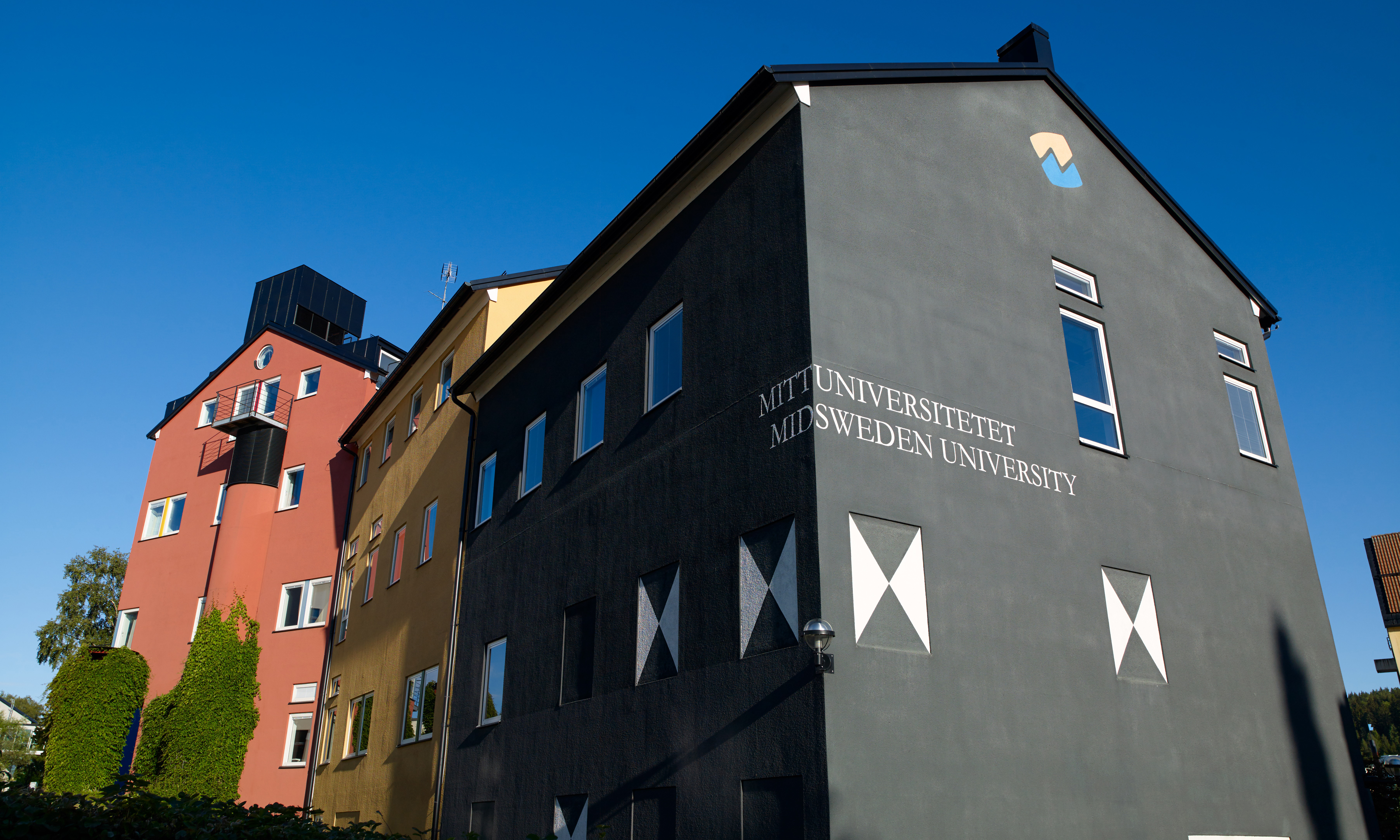 Intagningen till socionomutbildningen vid Mittuniversitetet har återupptagits. Samtidigt har en professor och ämnesansvarige Masoud Kamali, anmält ledningen för kränkande särbehandling.