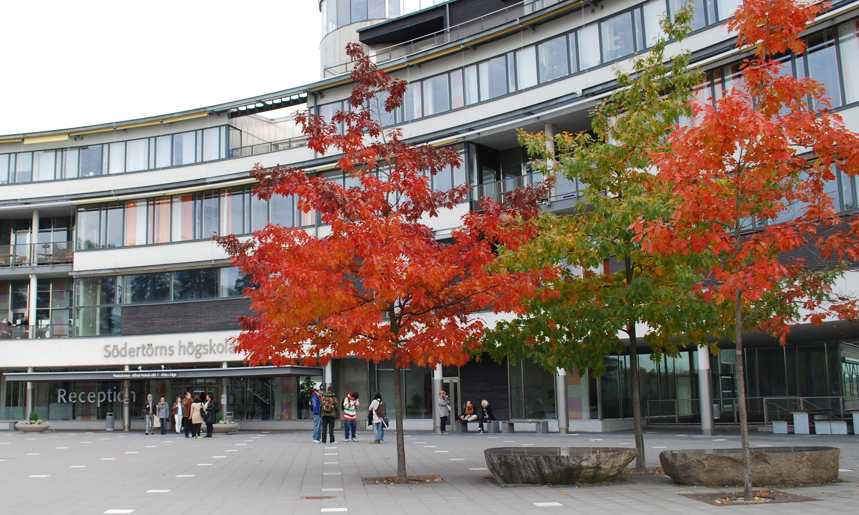 Arbetsdomstolen kom fram till att Södertörns högskola inte diskriminerade en döv sökande till en lektorstjänst. Anledningen var att de åtgärder som högskolan skulle ha behövt vidta inte bedöms som skäliga, enligt domen.