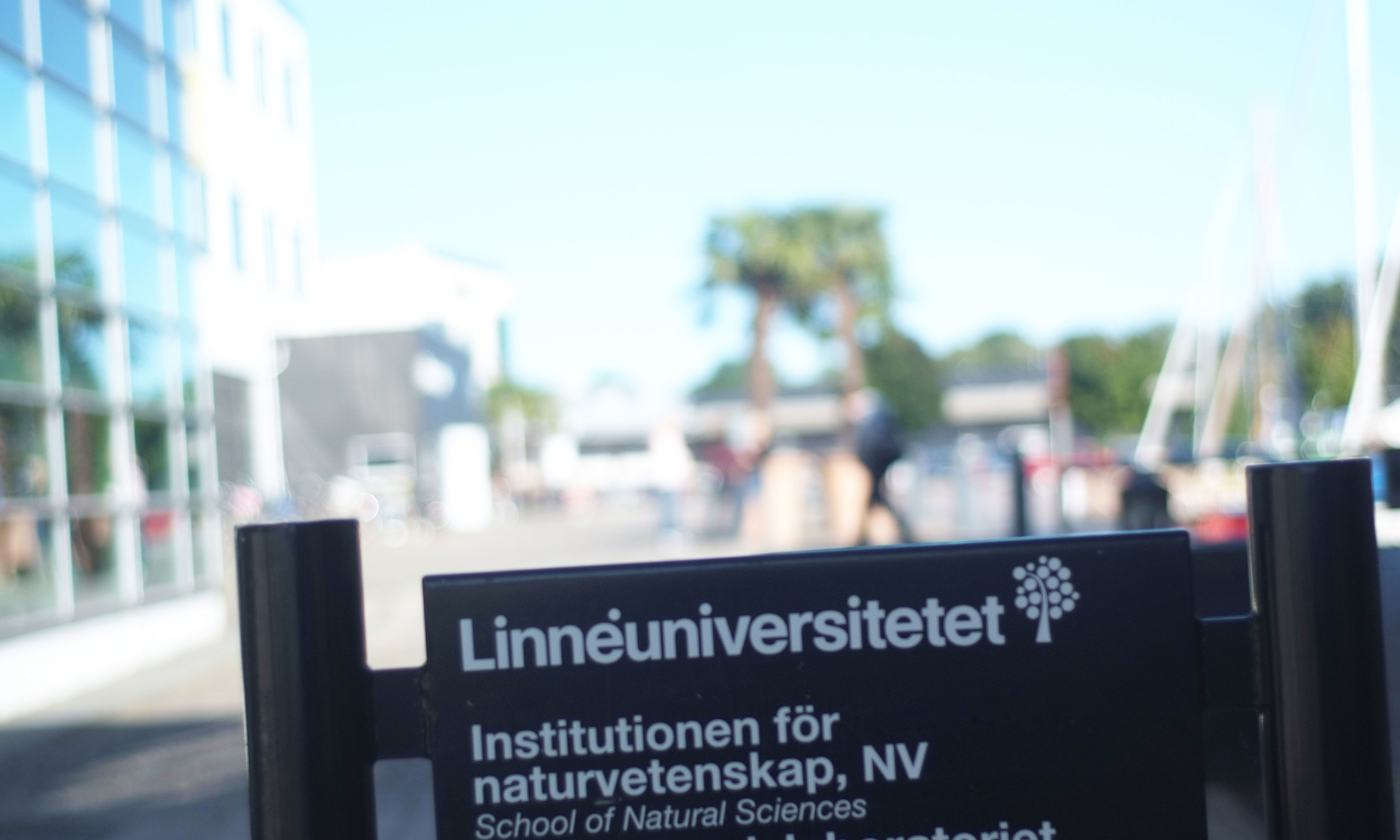 ST-medlemmen har haft olika former av tidsbegränsade anställningar på Linnéuniversitetet i flera omgångar sedan 2014.