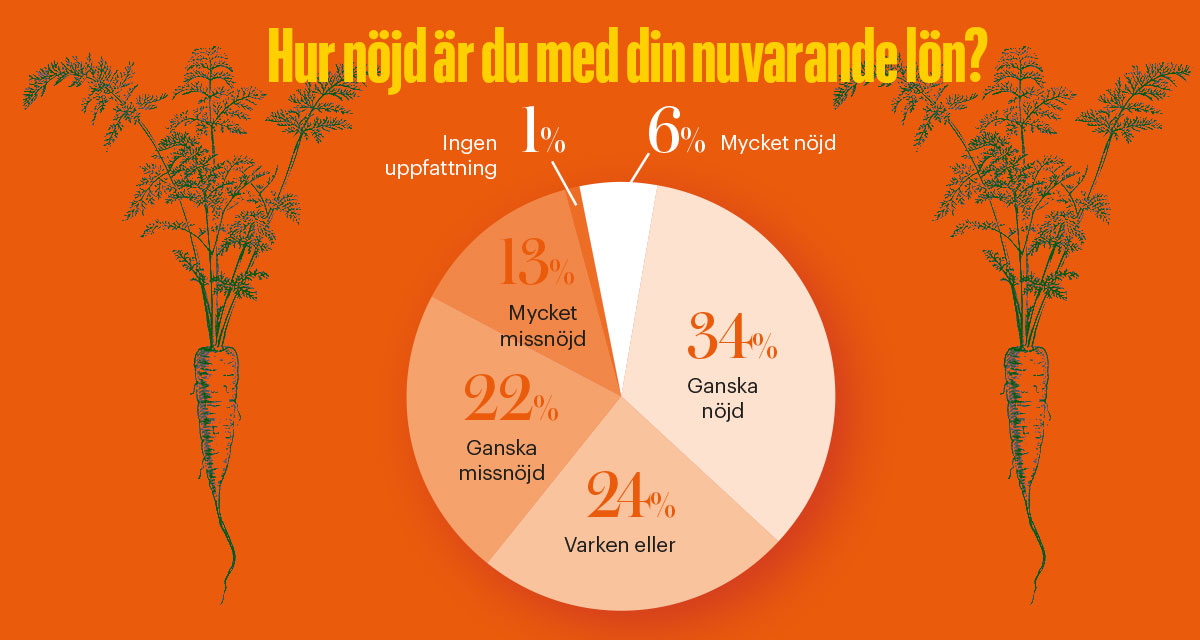 Källa: STs medlemsundersökning från 2017. För fler siffror se längre ned i artikeln. 