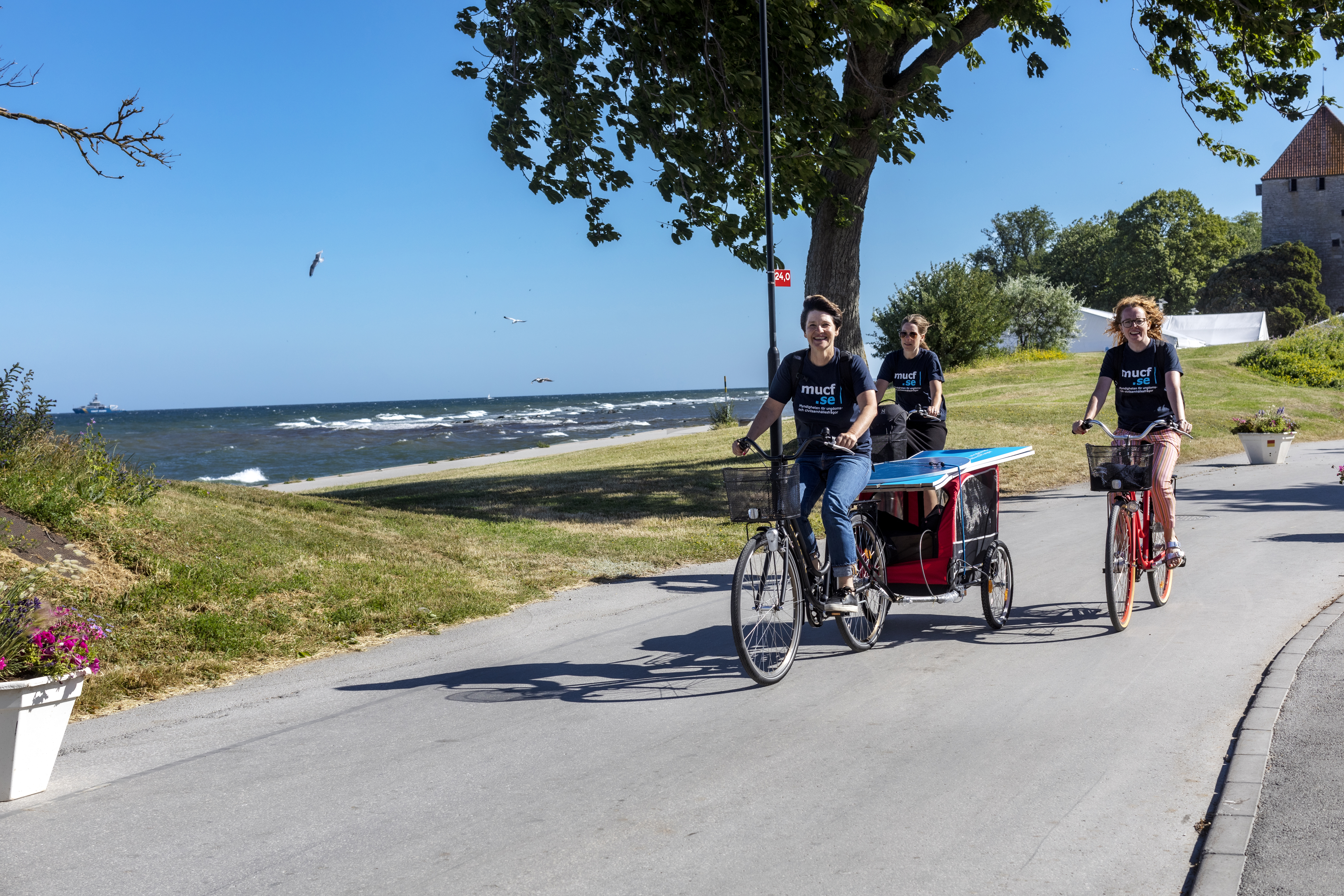 Karin Hellström, Malin Persson och Sara Selander fraktar MUCFs material från den hyrda villan till seminarielokalen med hjälp av cykelkärror. 