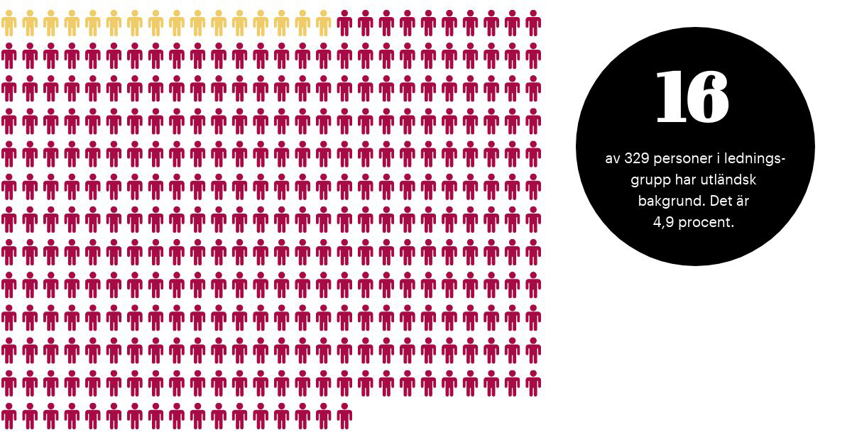 Knappt 5 procent, 16 av 329 personer, som sitter i ledningsgrupperna för de 30 största myndigheterna har utländsk bakgrund enligt SCBs definition.