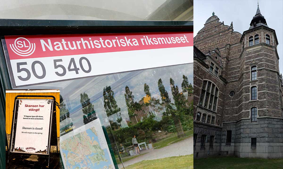 Flera av museerna har gått med förlust under pandemin. Vissa har sagt upp personal.