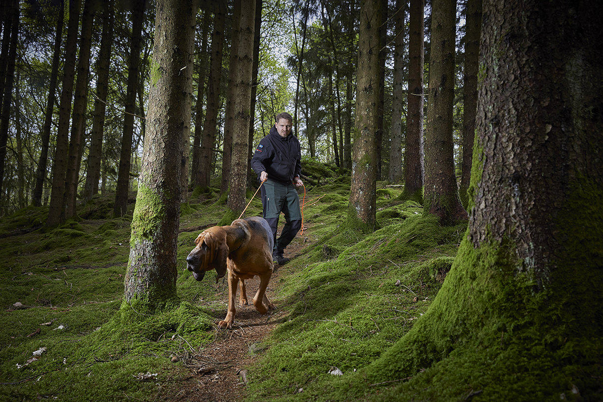 Erik Bagge har ingen egen blodhund, men tränar ofta Spårhundsgruppens hundar. Här är han med hunden Majken. 