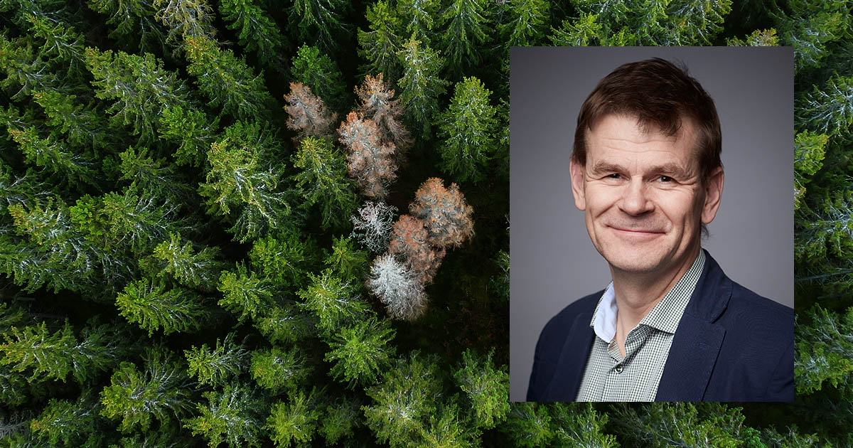 Skogsstyrelsens generaldirektör Herman Sundqvist