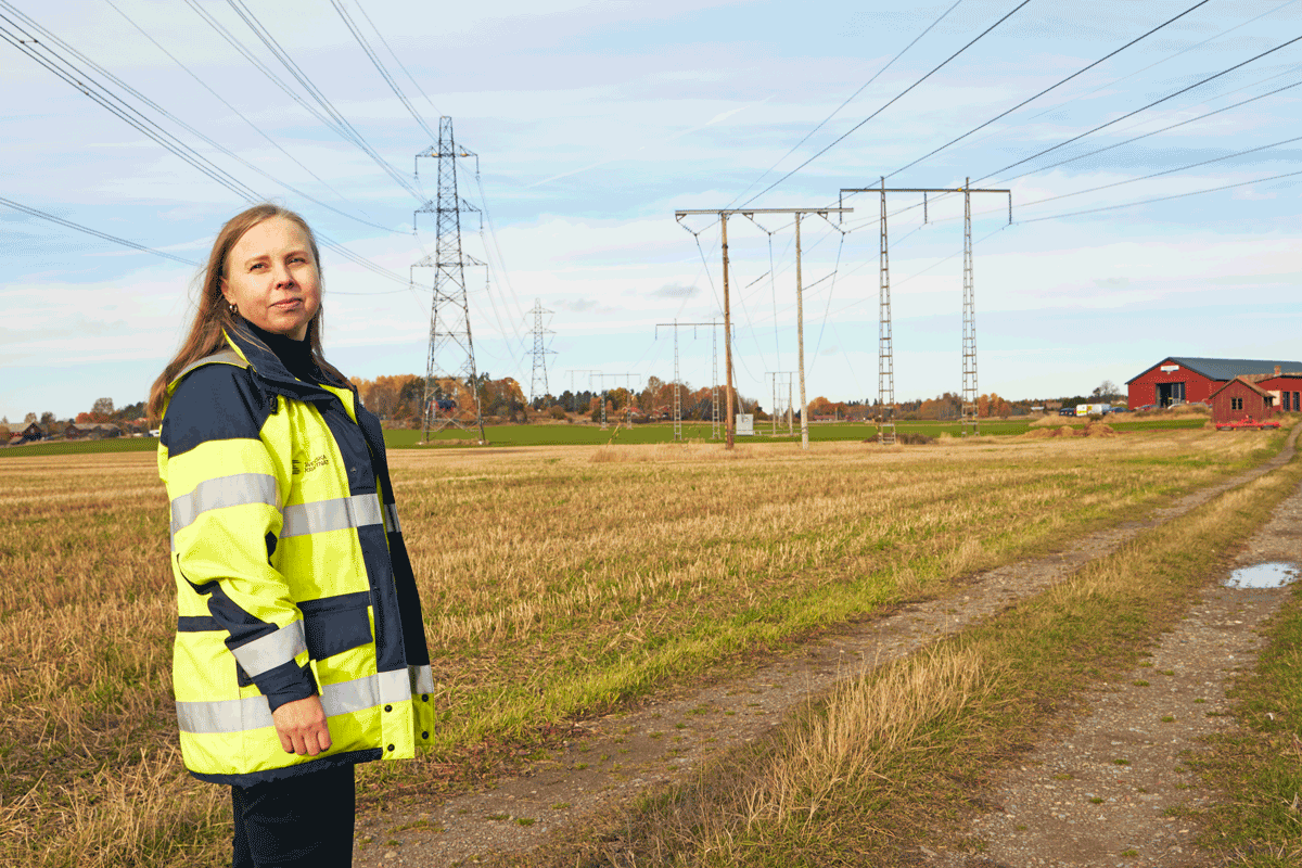 Utanför Odensala drar tre olika kraftledningar fram över åkrar och genom skogar. Två av dem ägs av Svenska kraftnät och Kajsa Pelttari arbetar med förberedelserna för att förnya dem.