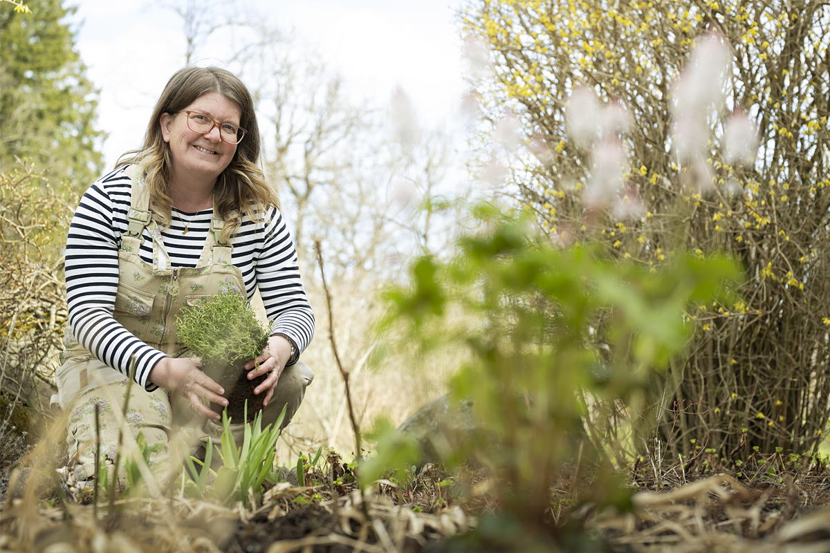 Svenska Örtasällskapet, där Birgit Reizer är aktiv, utser Årets ört i en om­röstning. ”I år blev det timjan, som också är en av mina favoriter”, säger hon.